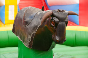 Bull Ride Thrills: Exciting Rodeo Adventures for All Ages!